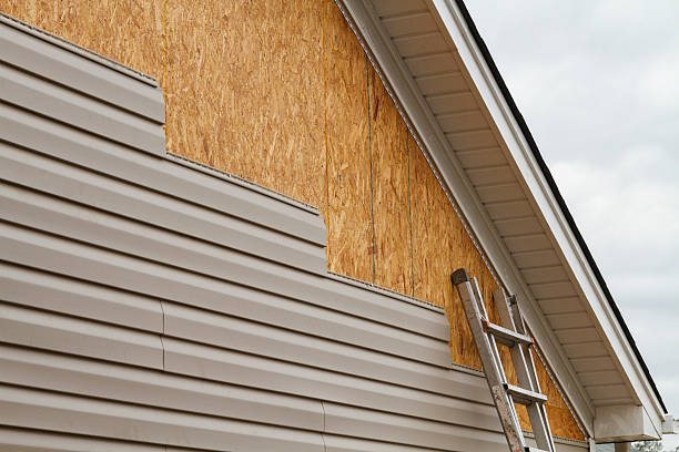Professional Storm Damage Siding Repair technician working in Waverly, IL